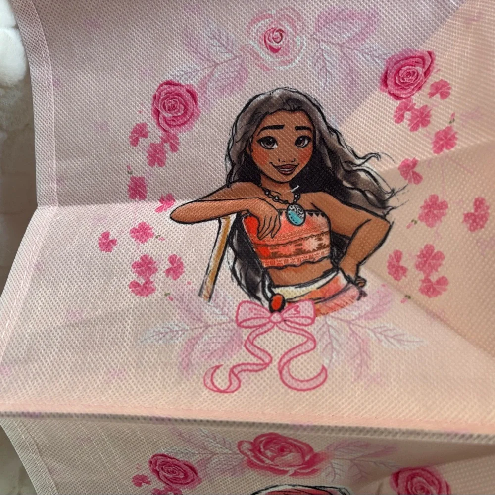 Disney Princess 6-Shelf Hanging Closet Organizer
